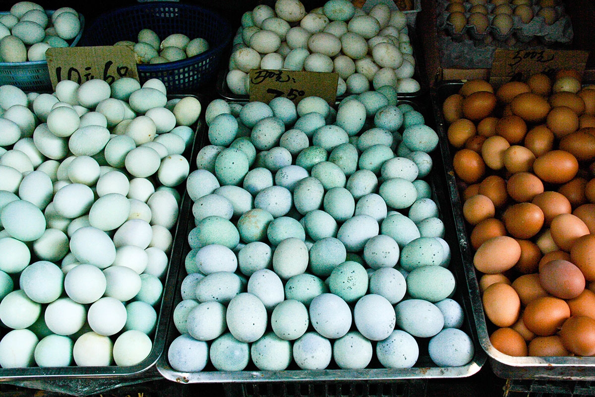 Trứng vịt rất giàu dinh dưỡng