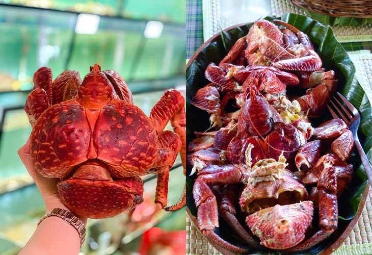 Cua dừa có thể làm thành nhiều món ngon như hấp sả, sốt chanh bơ, hay rang muối