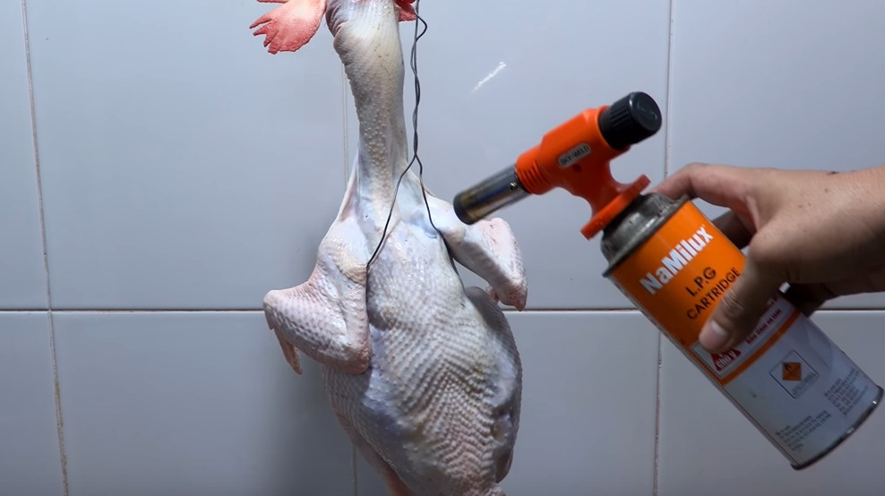 Thui lông gà cho sạch và làm da dày ngon hơn