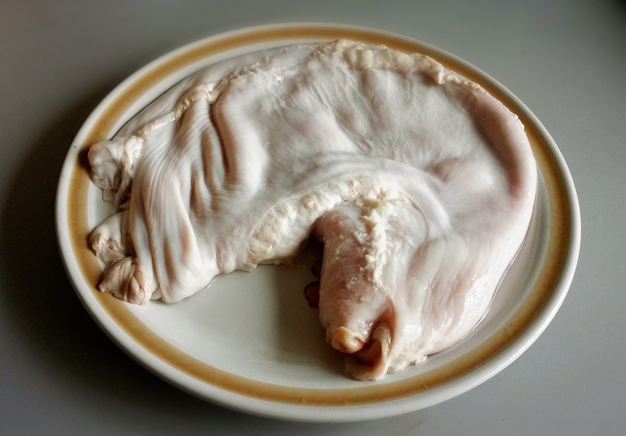 Cách luộc dạ dày ngon 3