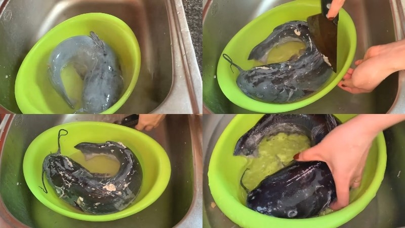 Rửa sạch cá lăng