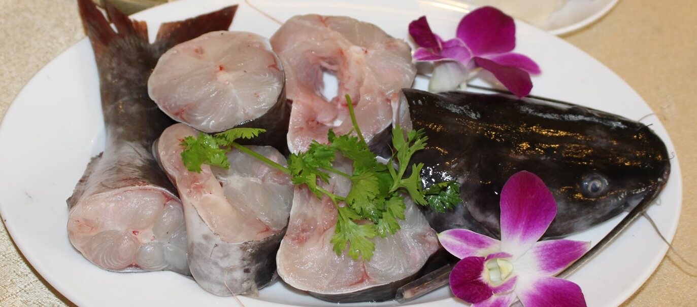 Cắt cá lăng thành từng khúc