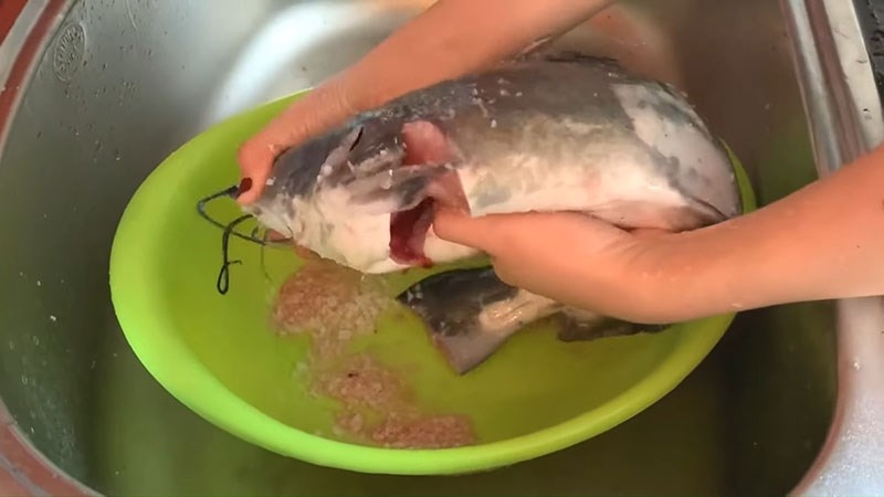 Rửa thật sạch cá lăng bằng muối hoặc nước muối gừng