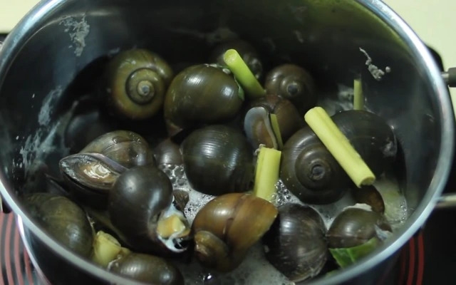 Luộc ốc với lá chanh, sả, gừng và ớt