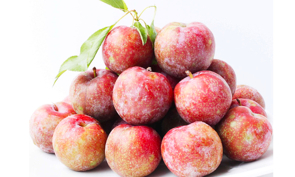Bảo quản mận ở nơi khô ráo