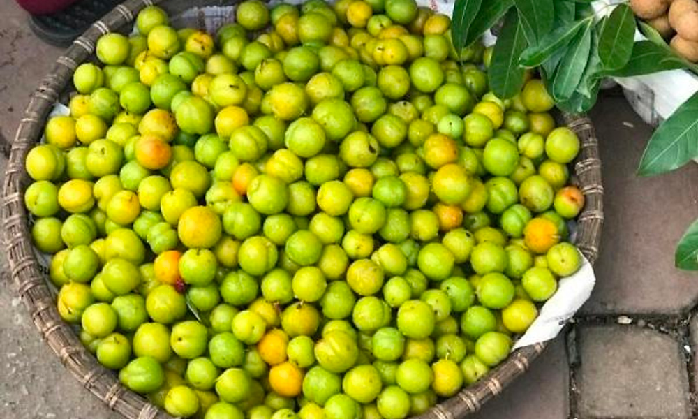 Mận thép trái nhỏ, vỏ màu xanh