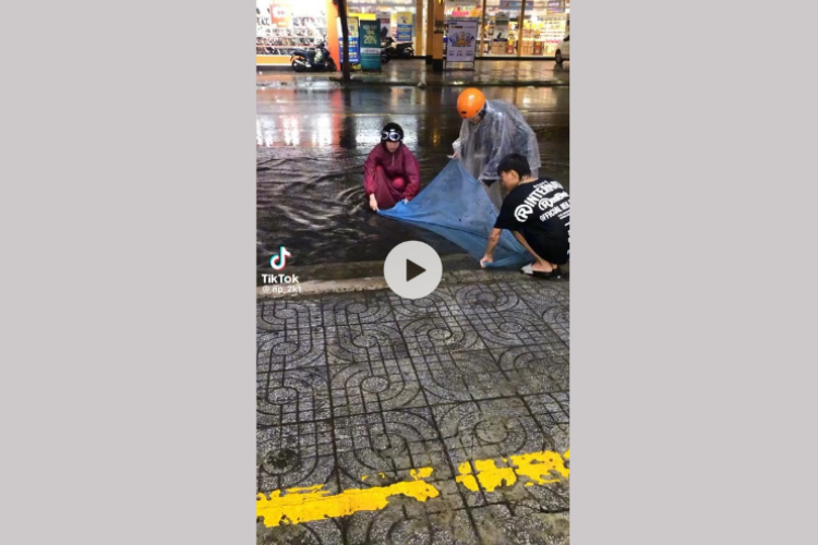 Mở ứng dụng TikTok và chọn video