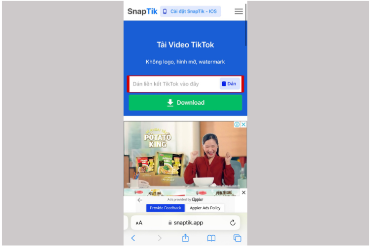 Giao diện website SnapTik