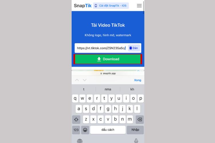 Nhập đường dẫn của ứng dụng SnapTik > chọn Download