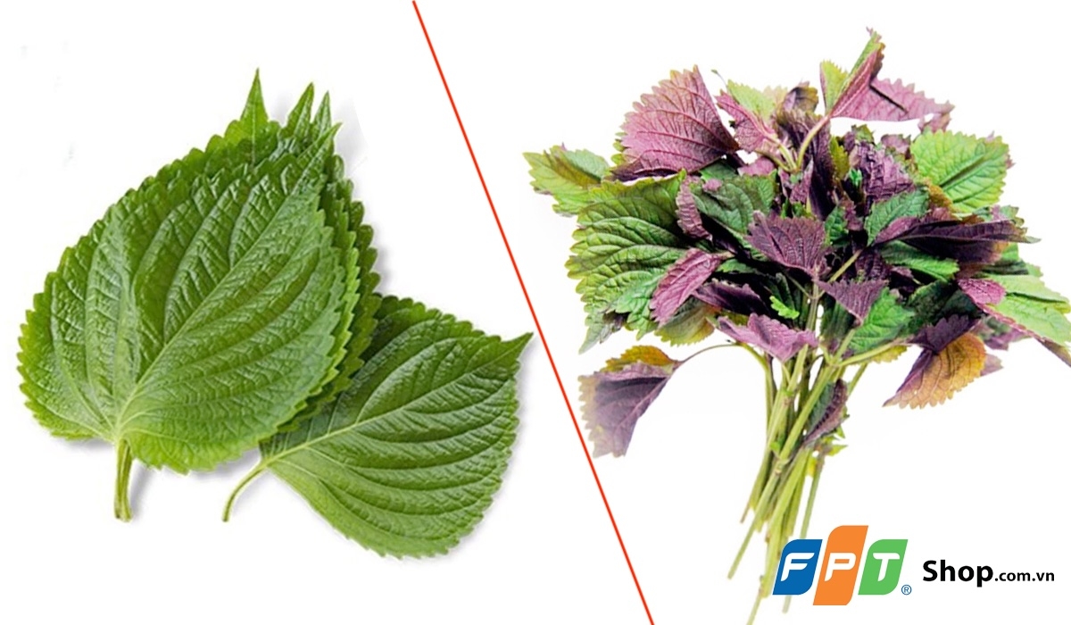 lá mè Hàn Quốc - hình 2