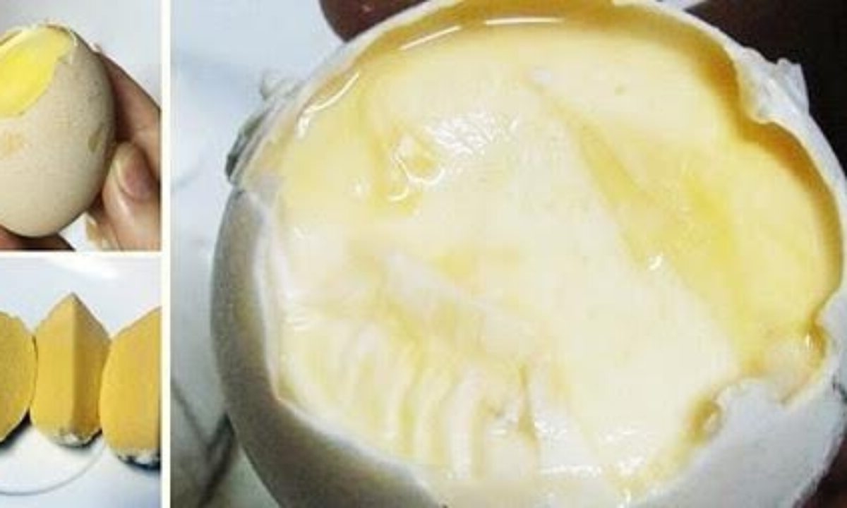 hột vịt dữa - hình 2
