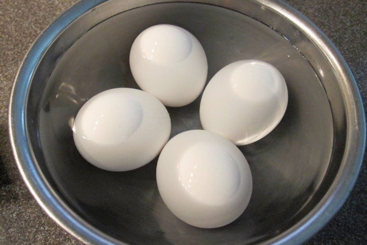 hột vịt dữa - hình 4