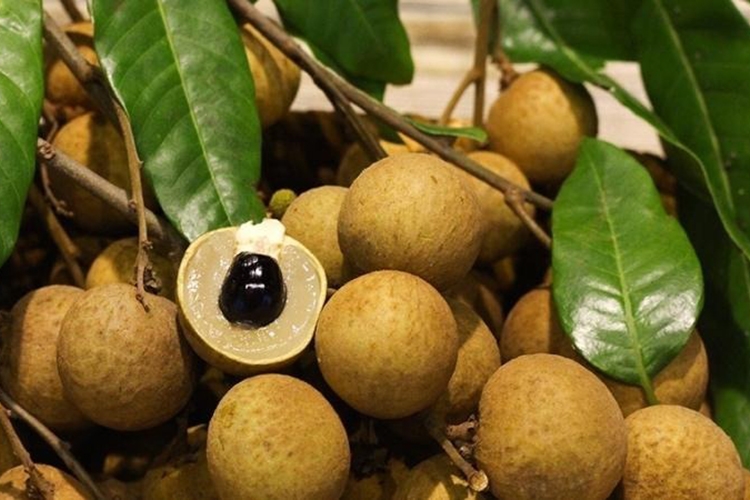 Chia sẻ cách nấu chè long nhãn hạt sen thơm ngon, bùi ngậy (Hình 2)