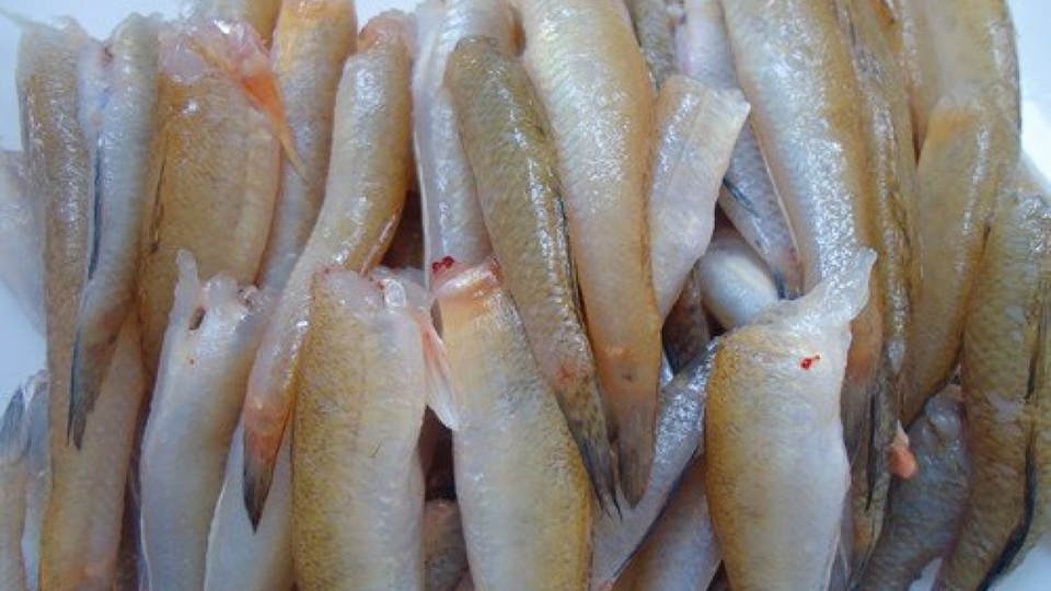 Sơ chế cá bống kho tiêu