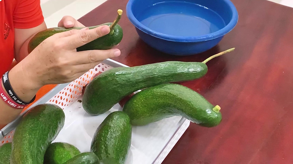 Ủ bơ bằng nước