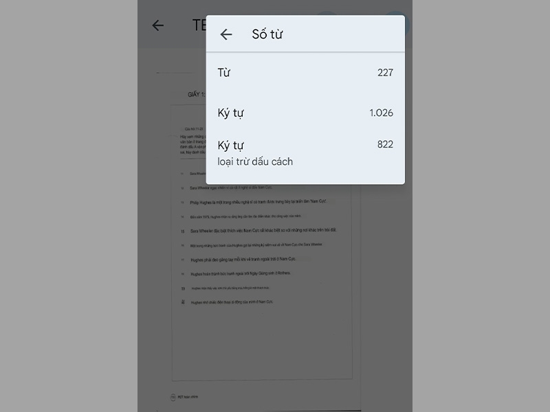 Đếm số từ trên Google Docs - hình 11
