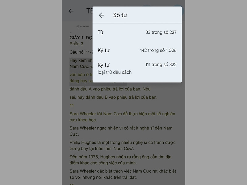 Đếm số từ trên Google Docs - hình 13
