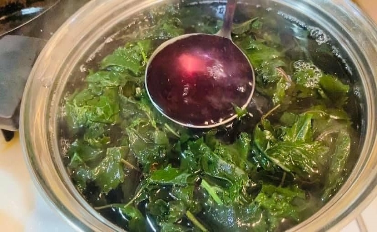 Nấu nước lá tía tô