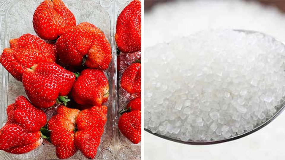 Nguyên liệu làm mứt dâu tây sấy