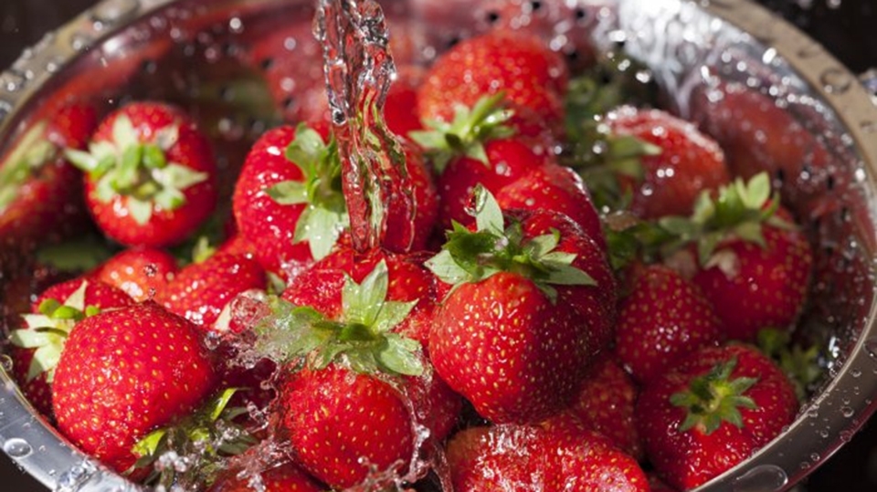 Sơ chế nguyên liệu làm mứt dâu tây sấy