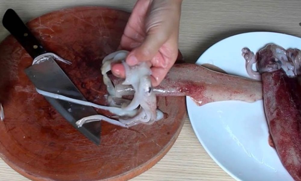 phân tách phần đầu và thân mực xà