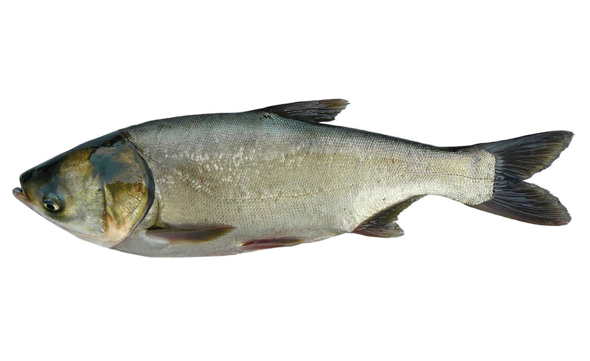 mè