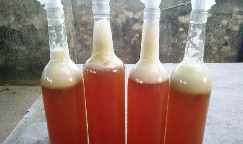 giá mật ong rừng bao nhiêu - ảnh 5