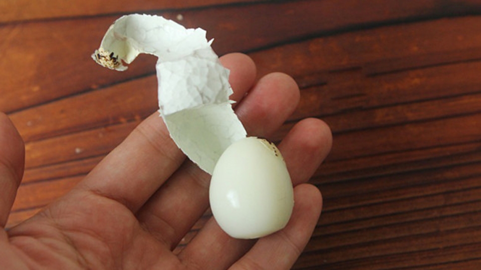 luộc trứng cút bao nhiêu phút (ảnh 7)