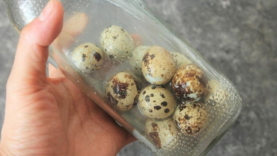 luộc trứng cút bao nhiêu phút (ảnh 8)