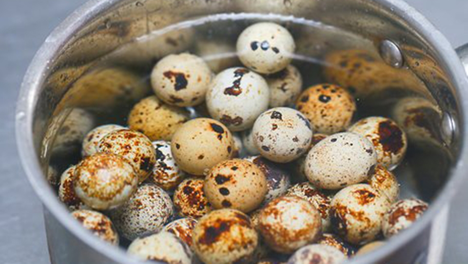 luộc trứng cút bao nhiêu phút (ảnh 2)