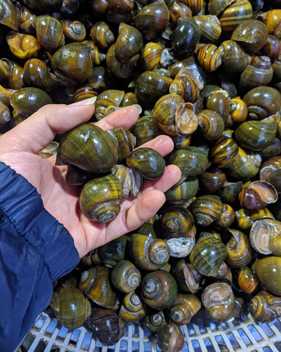 ốc om chuối đậu - hình 1