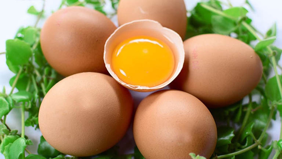 Mẹo lựa chọn và mua trứng gà tươi