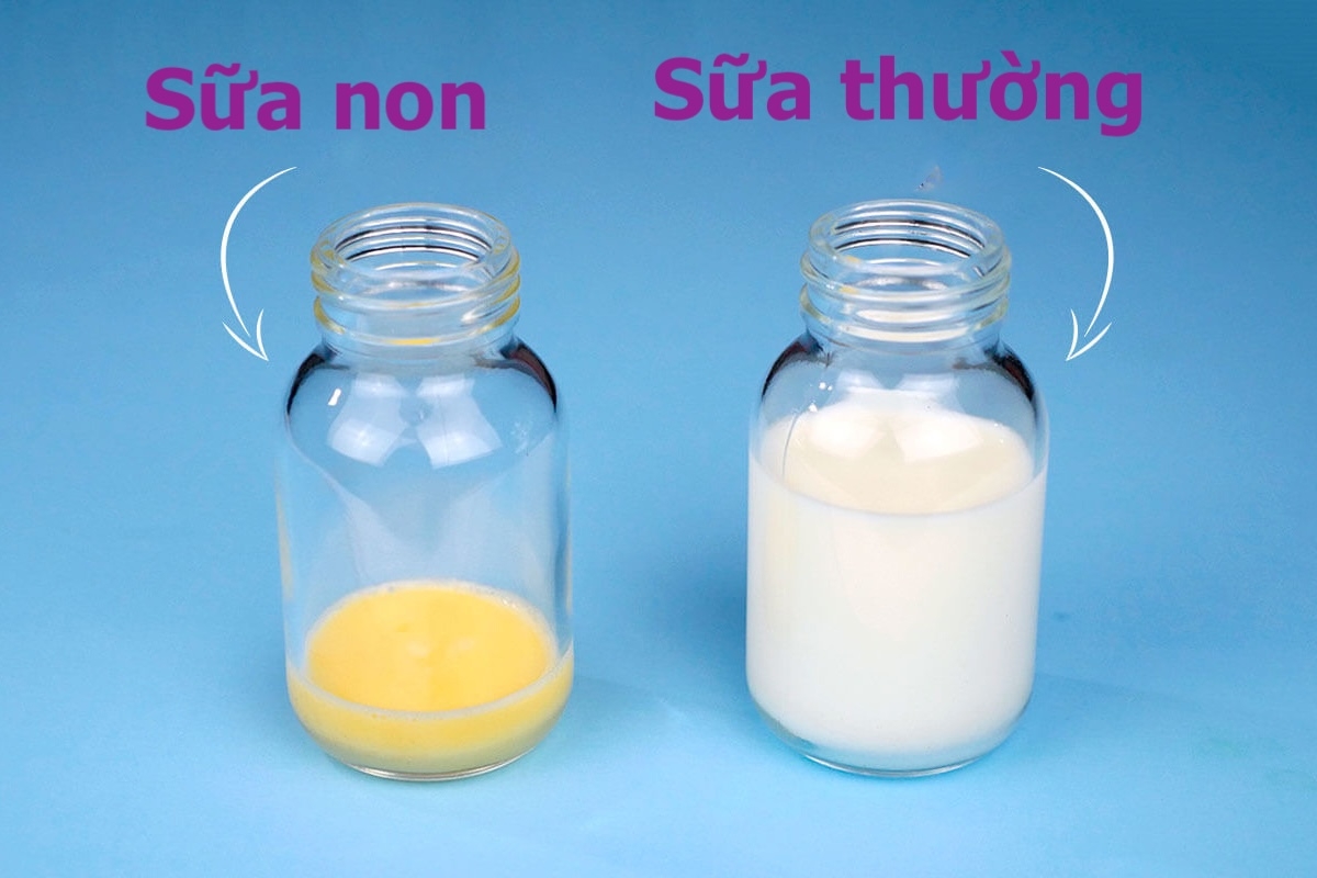 sữa non - hình 3