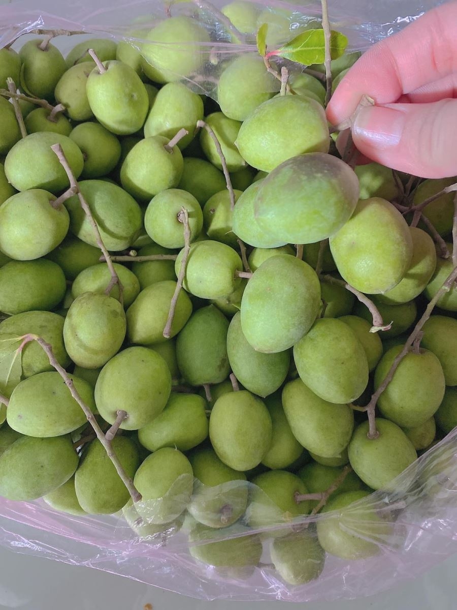 cà na - hình 3