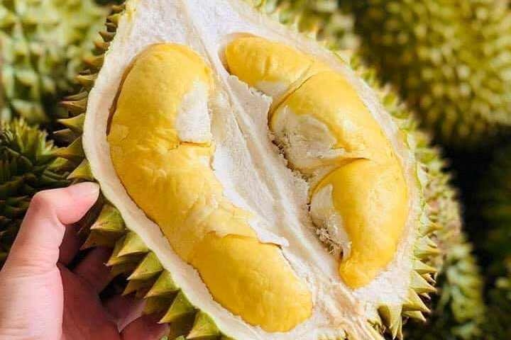 Cầm trên tay nửa trái sầu riêng thơm ngon căng mọng