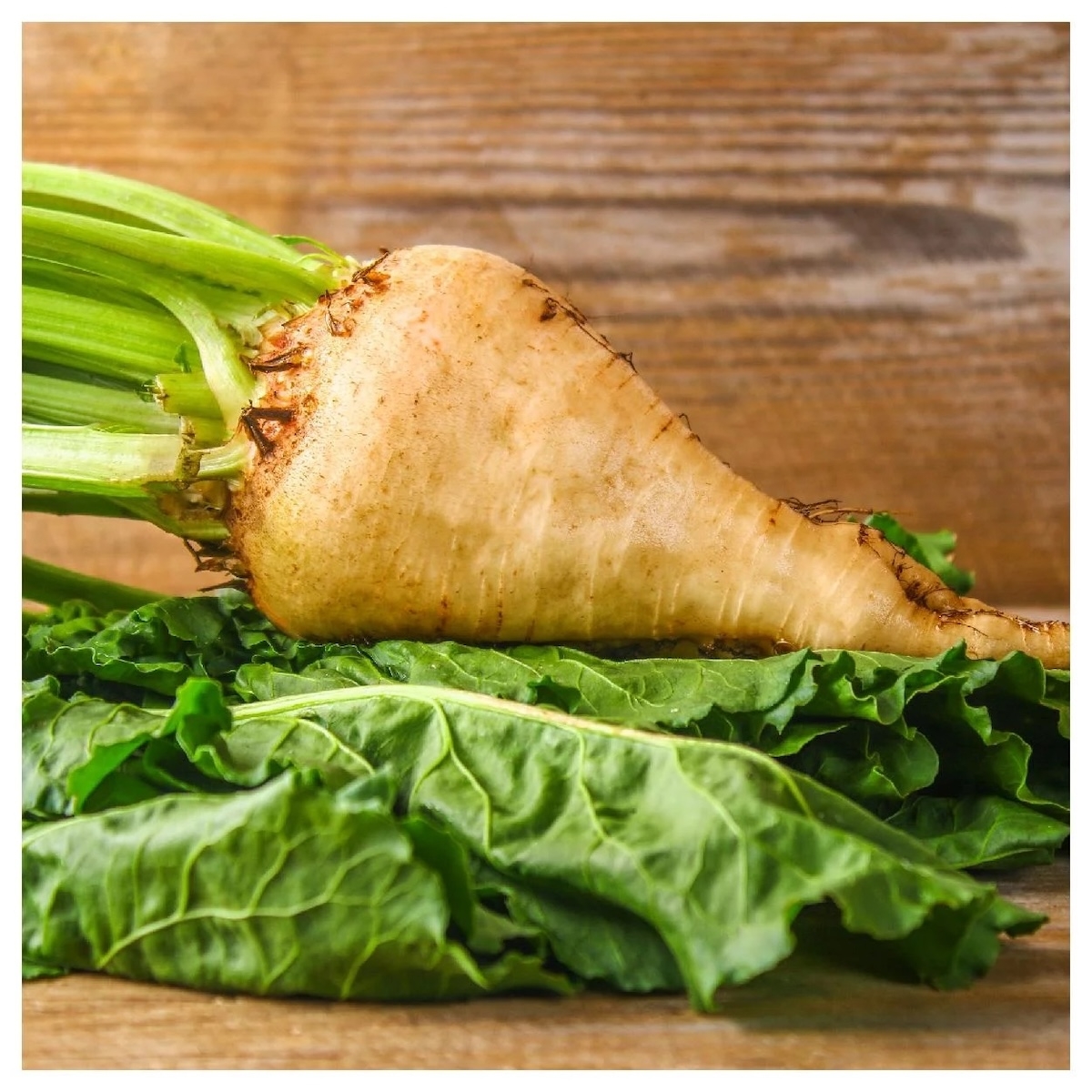 củ cải đường - hình 3