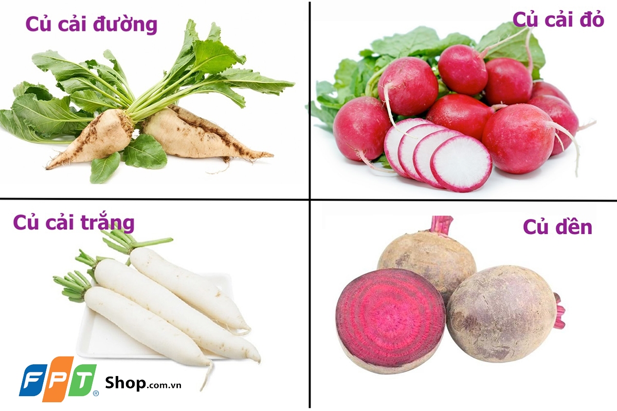 củ cải đường - hình 4