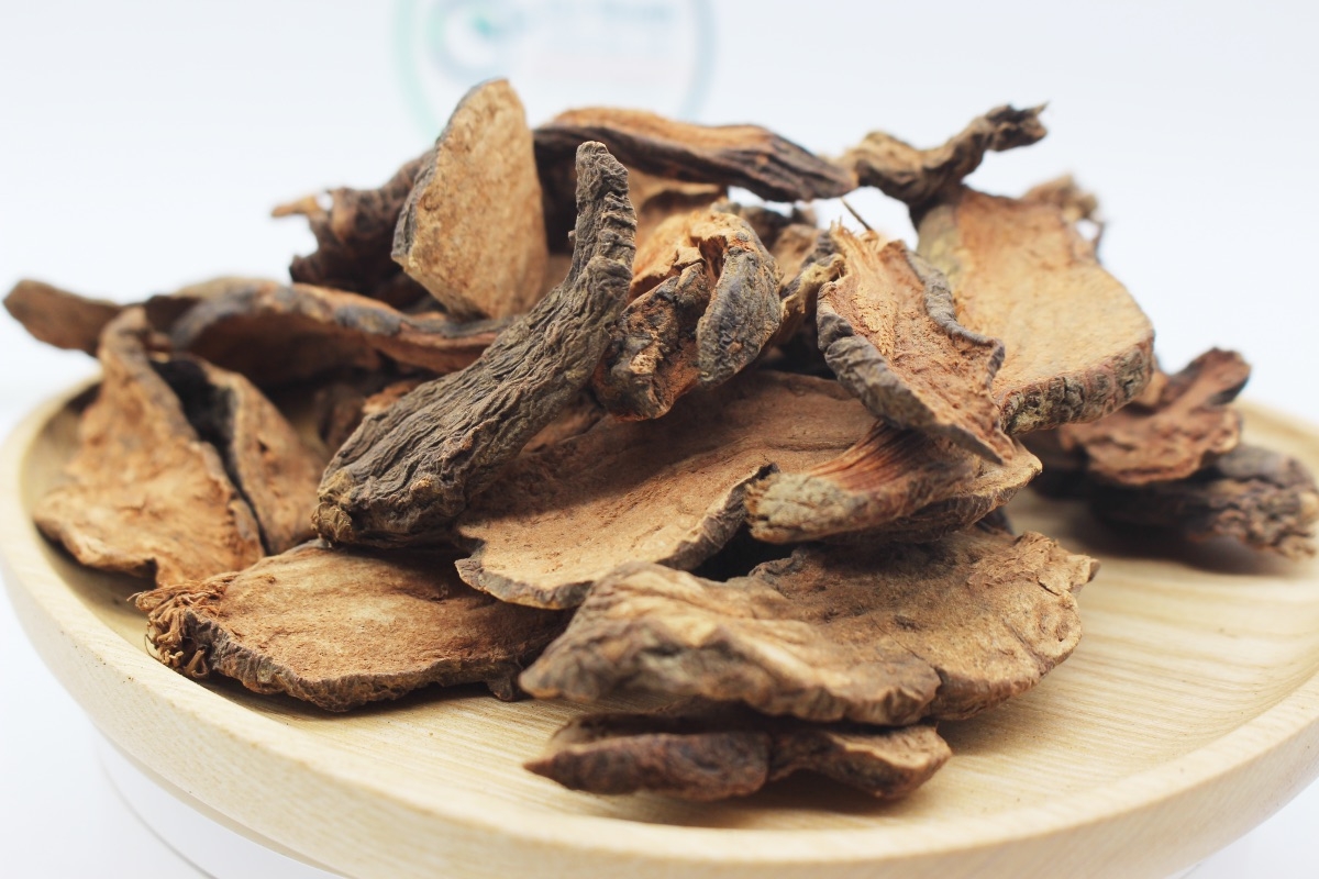 hà thủ ô có tác dụng gì - hình 2