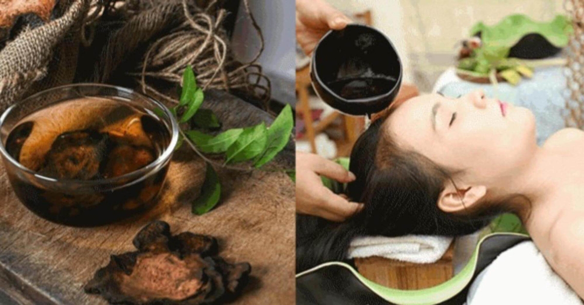 hà thủ ô có tác dụng gì - hình 3