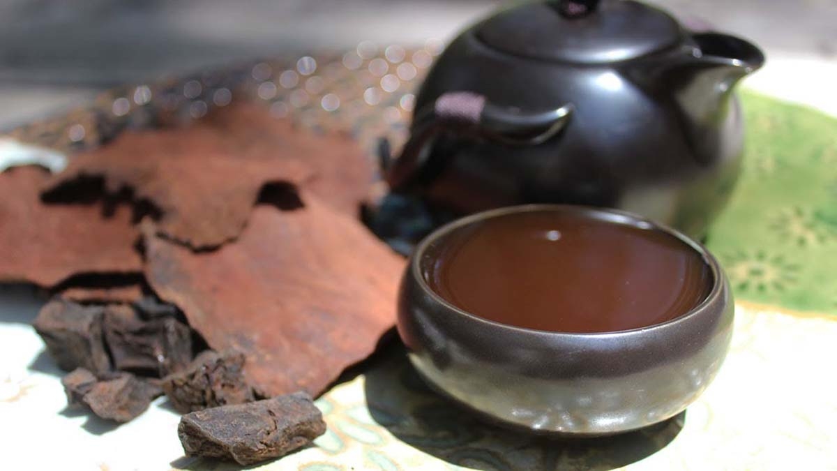 hà thủ ô có tác dụng gì - hình 5