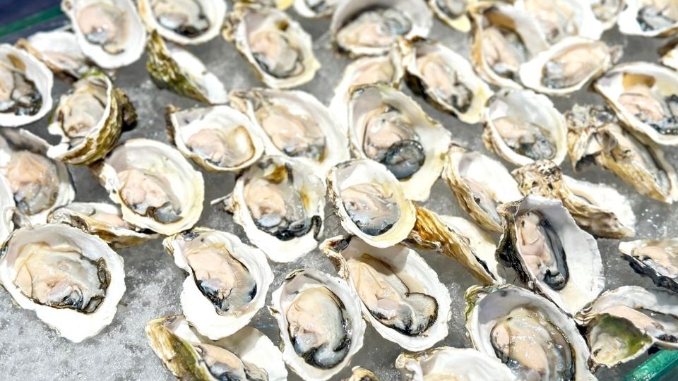 Những mẹo chọn hàu tươi ngon