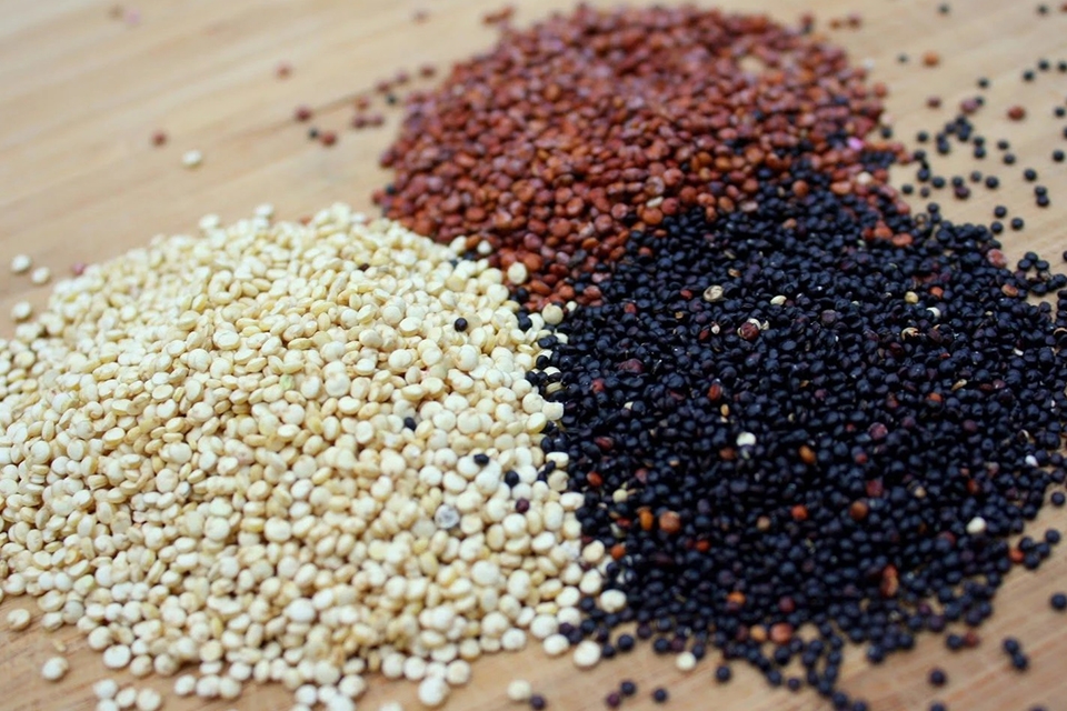 Hạt Quinoa là gì - Ảnh 04