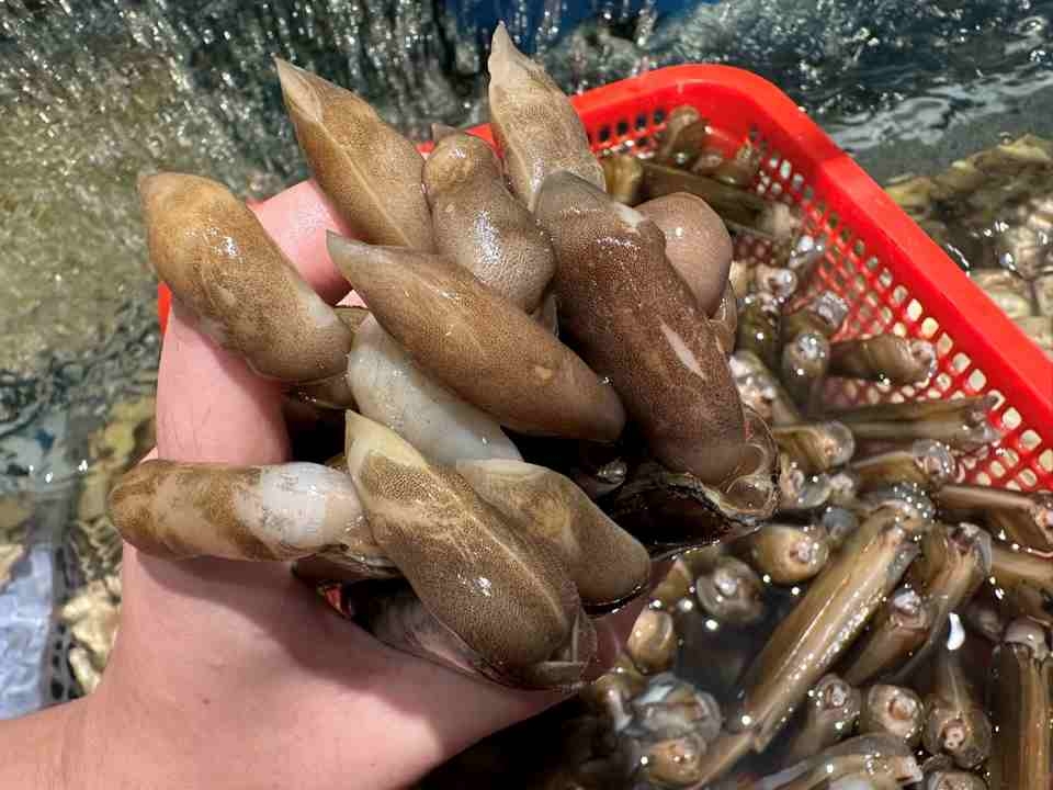 cách chế biến măng tây - ảnh 9