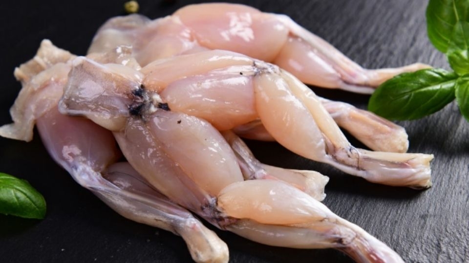 Cách nấu cháo ếch ngon - ảnh 11