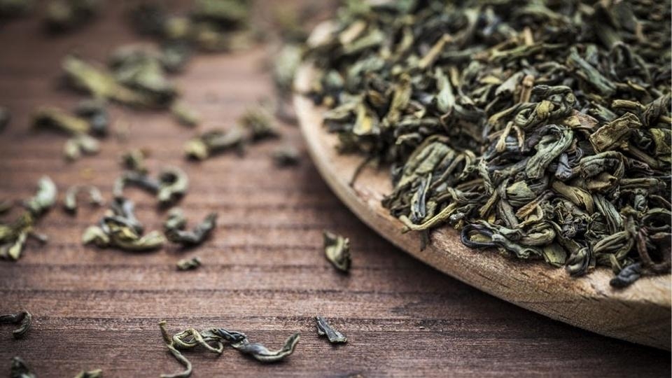 Người sản xuất sẽ làm héo lá trà