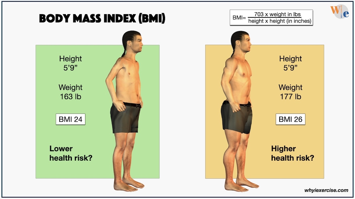 BMI - hình 4