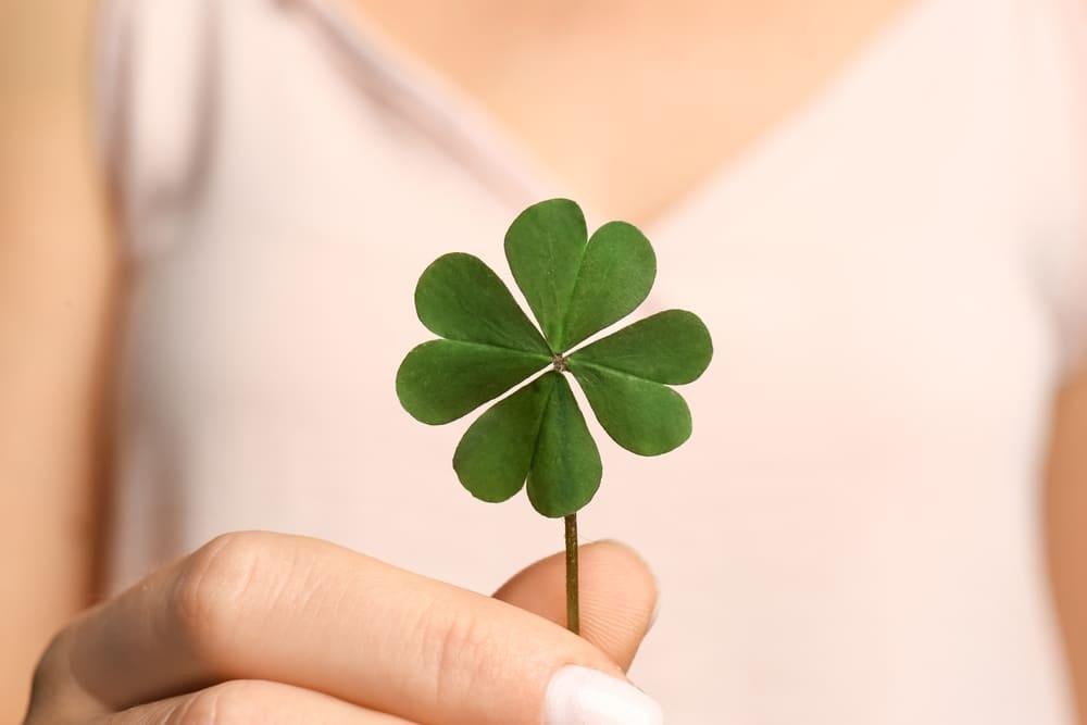 Ý nghĩa của từng cánh lá cỏ may mắn