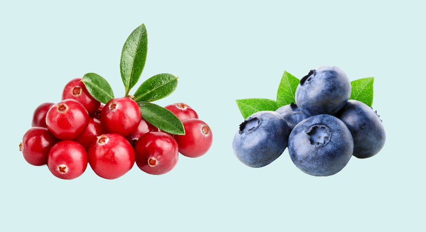 sex on the beach cocktail - hình 6