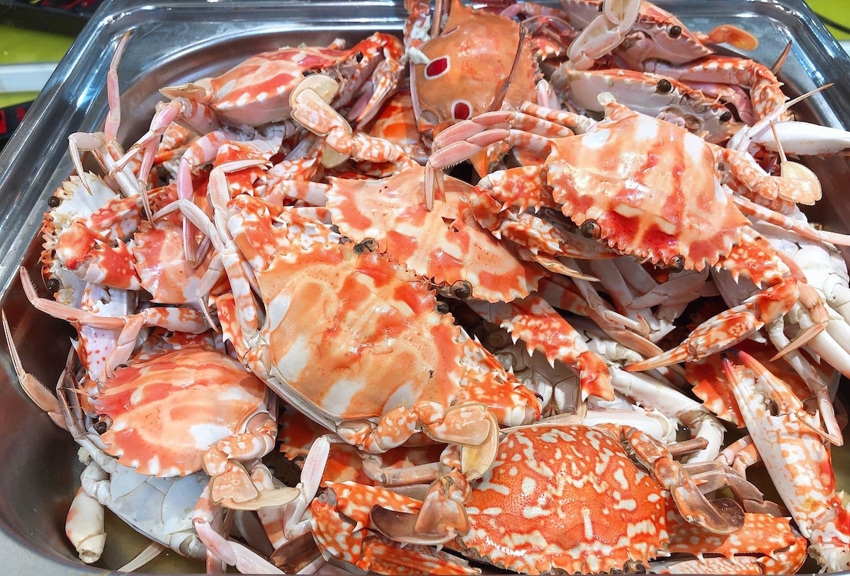 hấp ghẹ bao lâu - hình 3