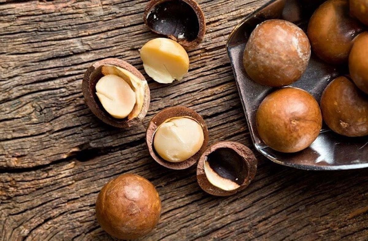 hạt macca - hình 3